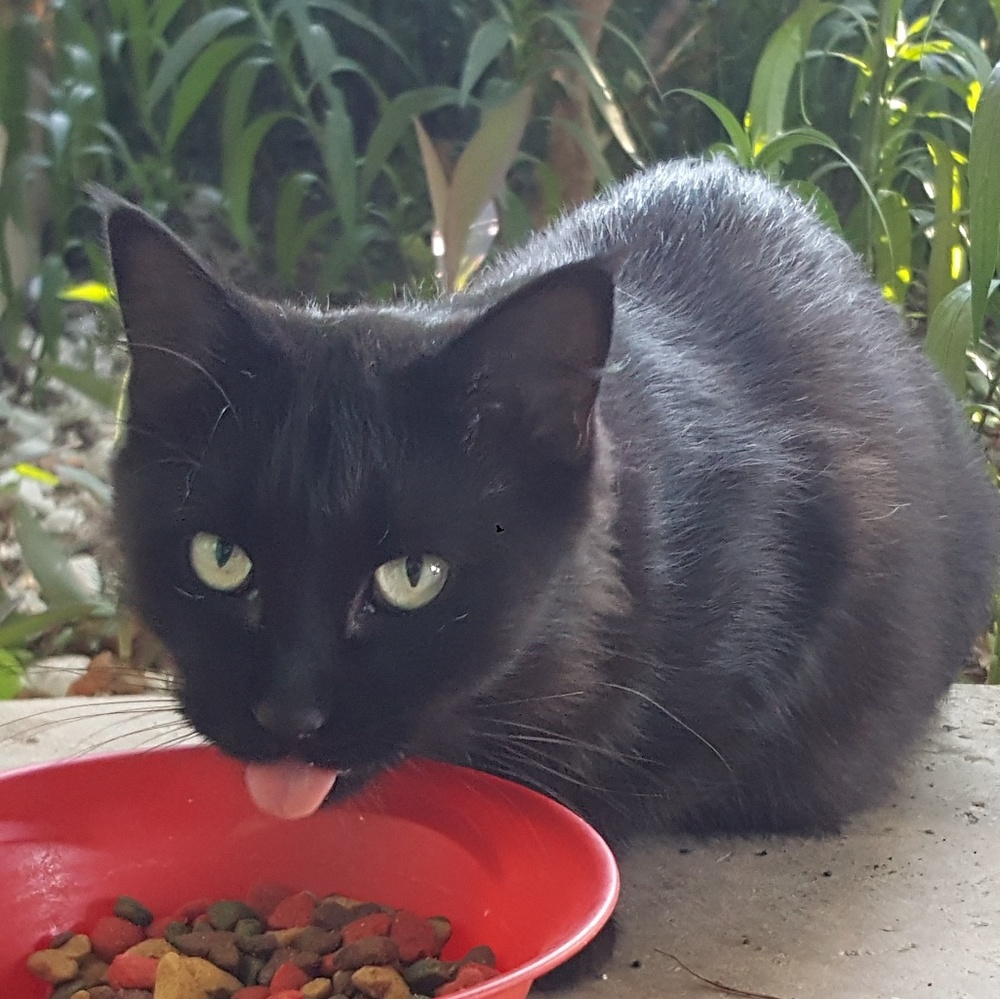 Meet your Posher, Jean